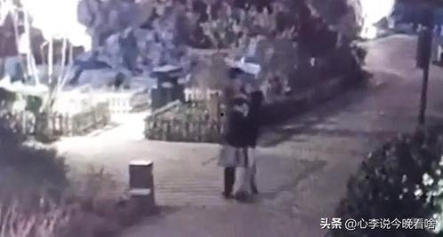 911爆料 吃瓜视频天堂,吃瓜视频天堂背后的惊人真相
